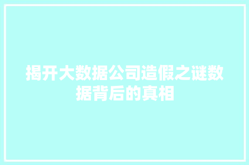 揭开大数据公司造假之谜数据背后的真相