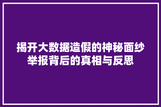 揭开大数据造假的神秘面纱举报背后的真相与反思