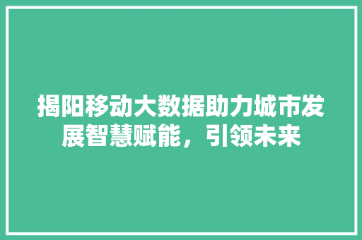 揭阳移动大数据助力城市发展智慧赋能，引领未来