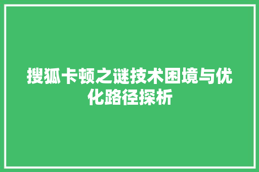 搜狐卡顿之谜技术困境与优化路径探析