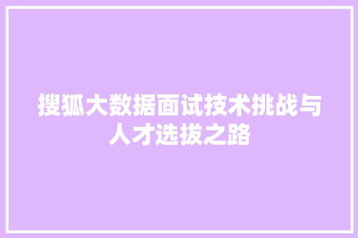 搜狐大数据面试技术挑战与人才选拔之路