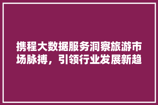 携程大数据服务洞察旅游市场脉搏，引领行业发展新趋势