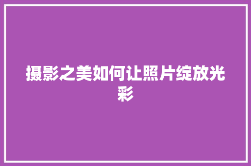 摄影之美如何让照片绽放光彩