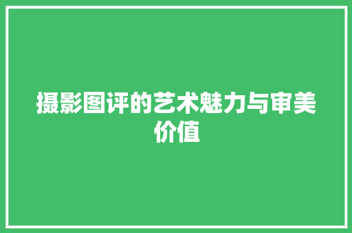 摄影图评的艺术魅力与审美价值