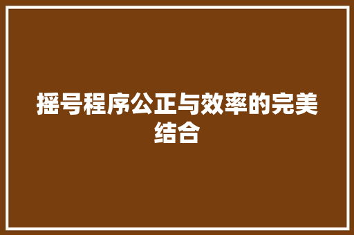 摇号程序公正与效率的完美结合