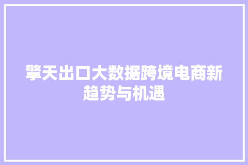 擎天出口大数据跨境电商新趋势与机遇