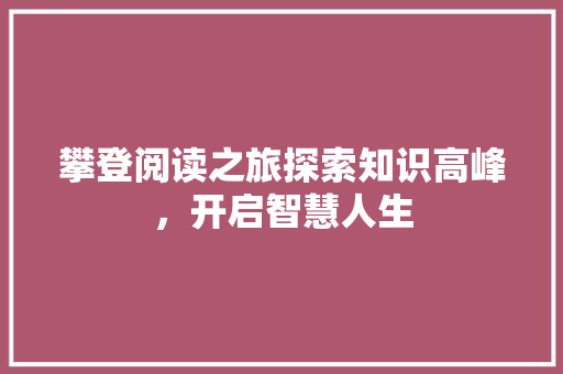攀登阅读之旅探索知识高峰，开启智慧人生