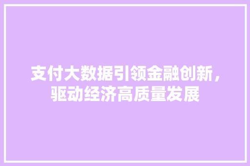 支付大数据引领金融创新，驱动经济高质量发展