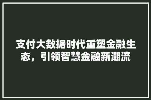 支付大数据时代重塑金融生态，引领智慧金融新潮流