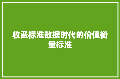 收费标准数据时代的价值衡量标准