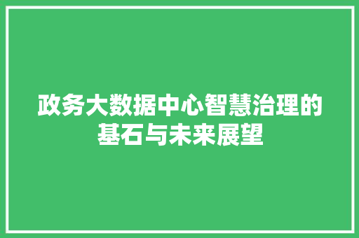 政务大数据中心智慧治理的基石与未来展望