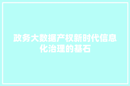 政务大数据产权新时代信息化治理的基石