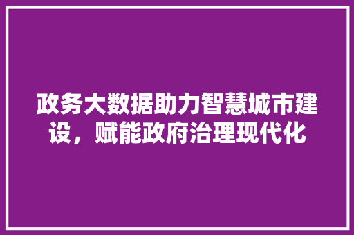 政务大数据助力智慧城市建设，赋能政府治理现代化