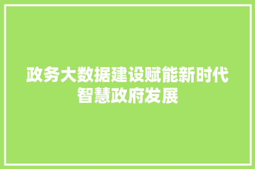 政务大数据建设赋能新时代智慧政府发展