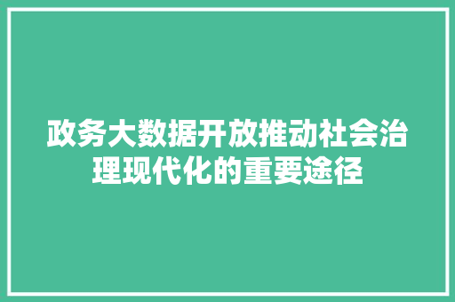 政务大数据开放推动社会治理现代化的重要途径