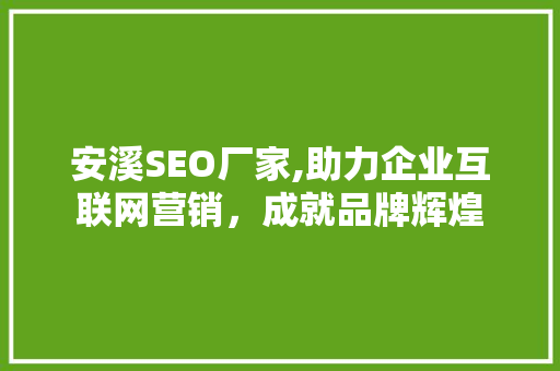 安溪SEO厂家,助力企业互联网营销，成就品牌辉煌