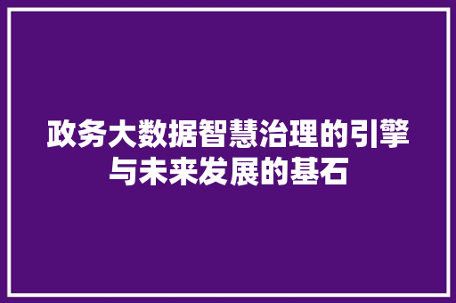 政务大数据智慧治理的引擎与未来发展的基石