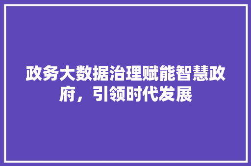 政务大数据治理赋能智慧政府，引领时代发展