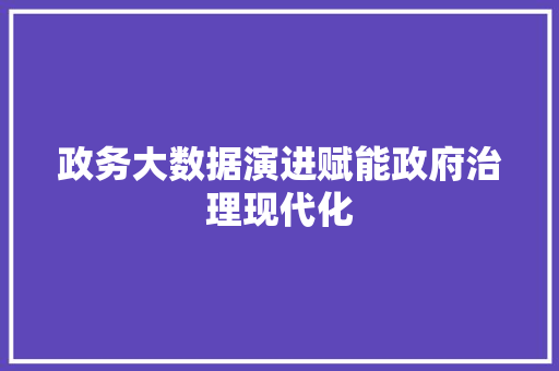 政务大数据演进赋能政府治理现代化