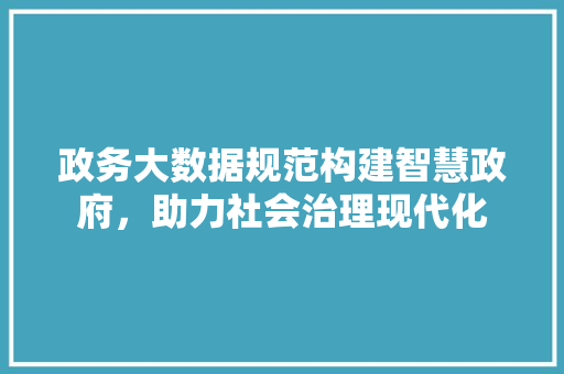 政务大数据规范构建智慧政府，助力社会治理现代化