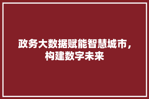 政务大数据赋能智慧城市，构建数字未来