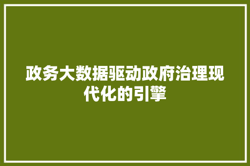 政务大数据驱动政府治理现代化的引擎