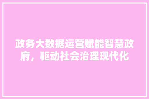 政务大数据运营赋能智慧政府，驱动社会治理现代化
