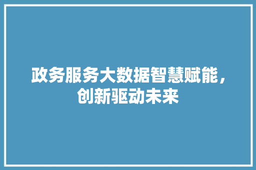 政务服务大数据智慧赋能，创新驱动未来