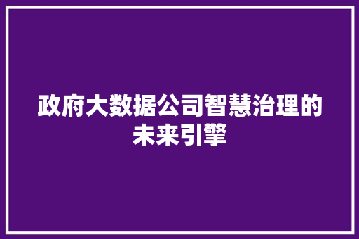 政府大数据公司智慧治理的未来引擎