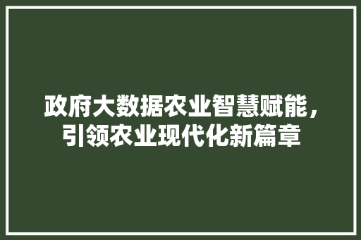 政府大数据农业智慧赋能，引领农业现代化新篇章