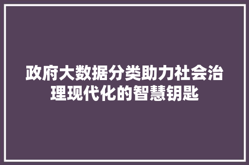 政府大数据分类助力社会治理现代化的智慧钥匙