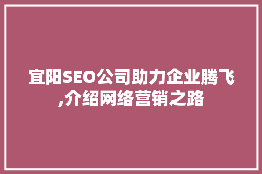 宜阳SEO公司助力企业腾飞,介绍网络营销之路