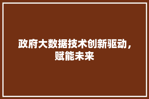 政府大数据技术创新驱动，赋能未来