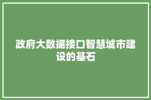 政府大数据接口智慧城市建设的基石