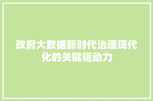 政府大数据新时代治理现代化的关键驱动力