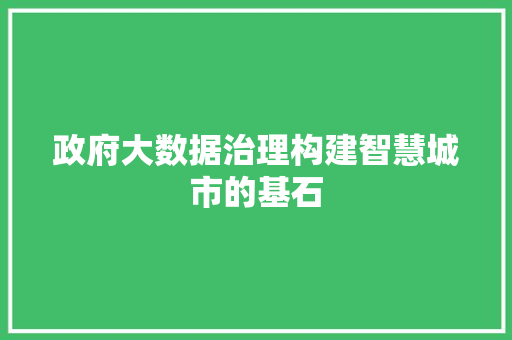 政府大数据治理构建智慧城市的基石