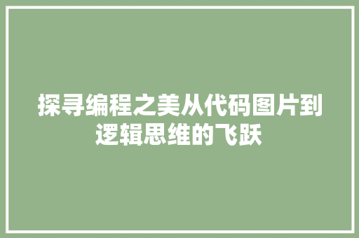 探寻编程之美从代码图片到逻辑思维的飞跃