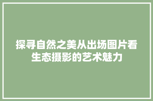 探寻自然之美从出场图片看生态摄影的艺术魅力