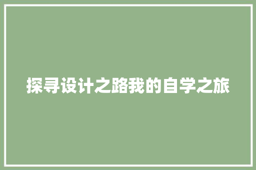 探寻设计之路我的自学之旅