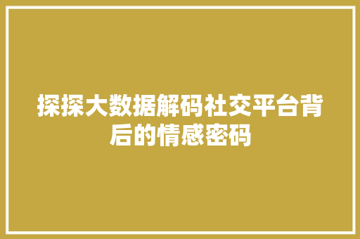 探探大数据解码社交平台背后的情感密码