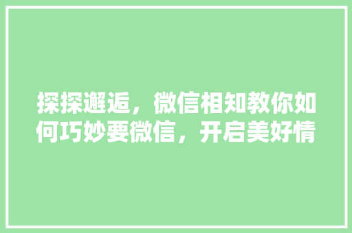 探探邂逅，微信相知教你如何巧妙要微信，开启美好情缘