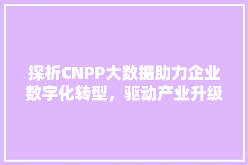 探析CNPP大数据助力企业数字化转型，驱动产业升级