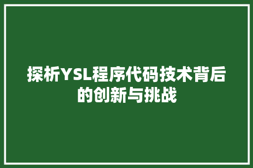 探析YSL程序代码技术背后的创新与挑战
