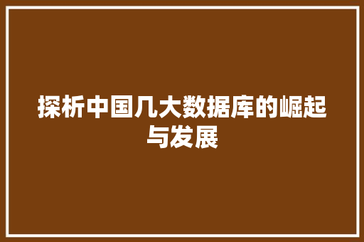 探析中国几大数据库的崛起与发展
