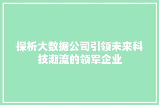 探析大数据公司引领未来科技潮流的领军企业