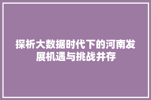 探析大数据时代下的河南发展机遇与挑战并存