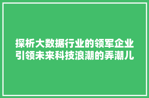 探析大数据行业的领军企业引领未来科技浪潮的弄潮儿