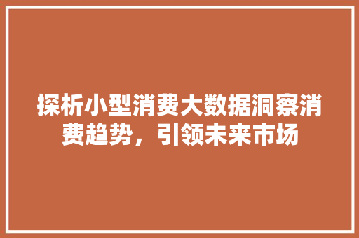 探析小型消费大数据洞察消费趋势，引领未来市场