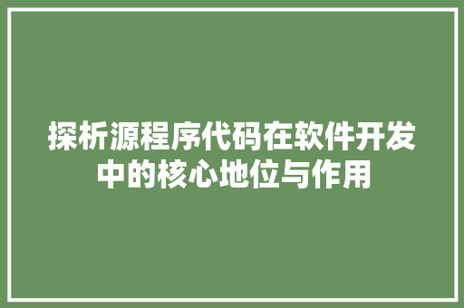 探析源程序代码在软件开发中的核心地位与作用