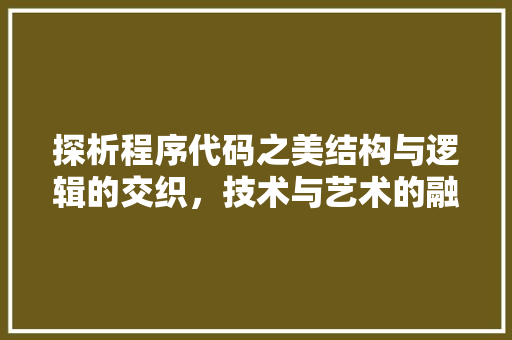 探析程序代码之美结构与逻辑的交织，技术与艺术的融合